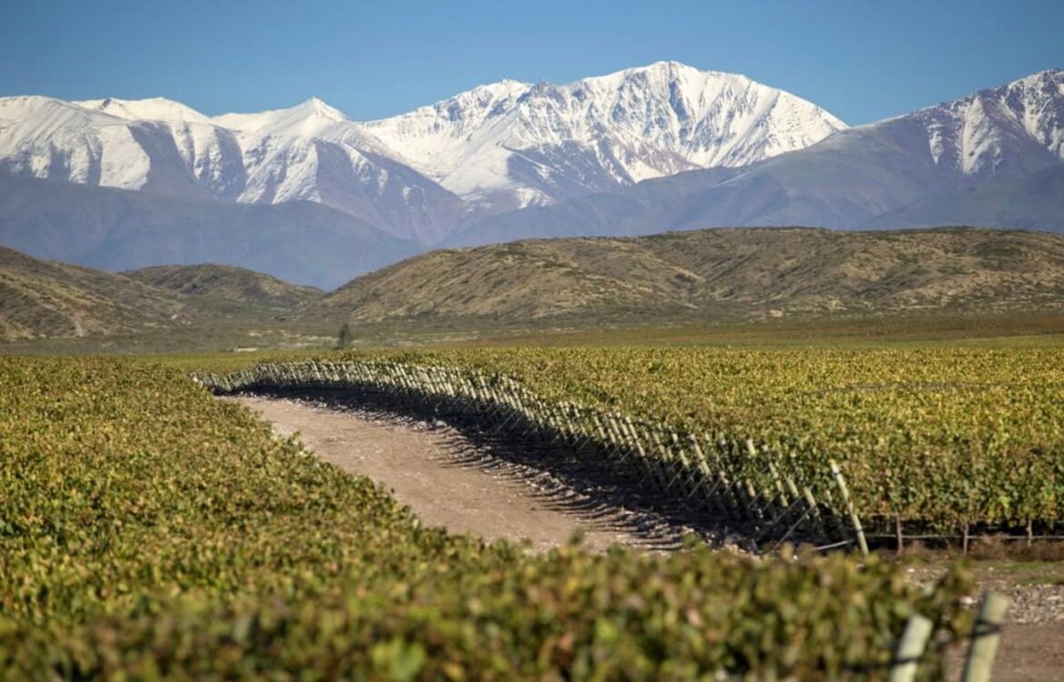 The Buyer | How Doña Paula is taking premium Argentine wines to a new level How Doña Paula is taking premium Argentine wines to a new level