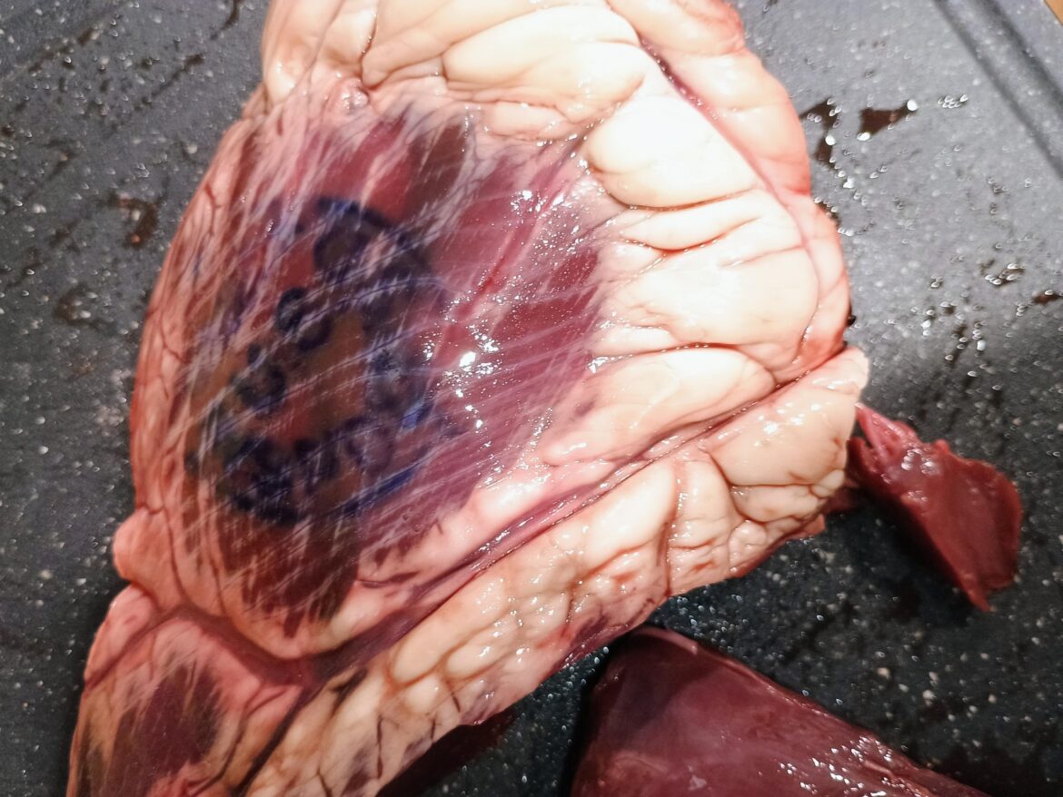 Why does my beef heart have what looks like an ink stamp on it?