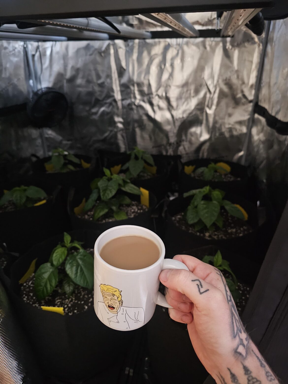 Is there a better way to enjoy a morning coffee? I doubt it.🌱