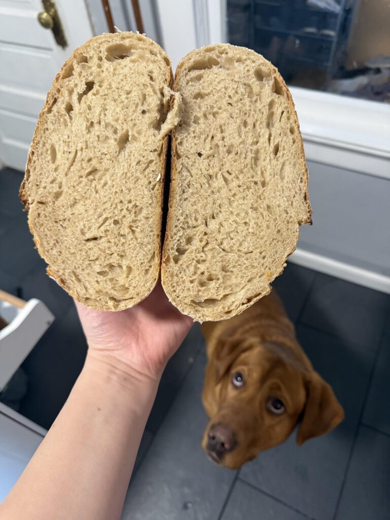 Would you buy this Would you buy this