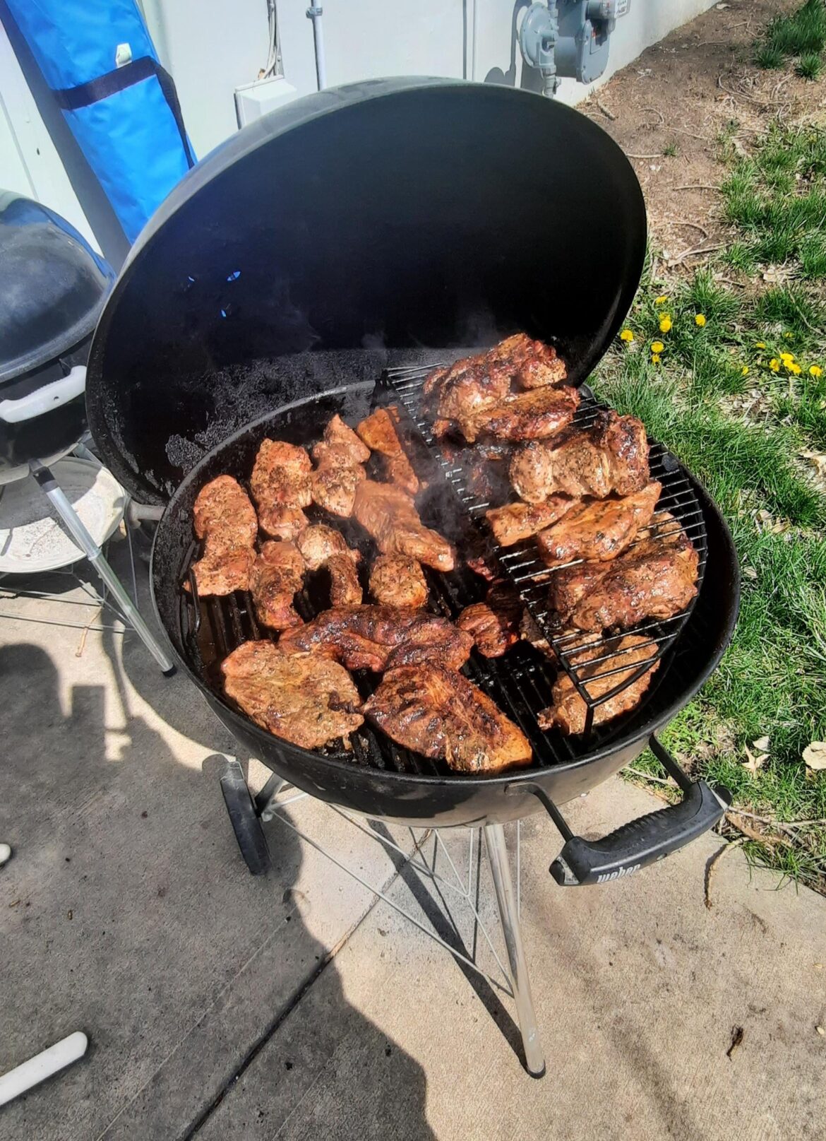 Country style ribs were on Clearance. So i maxxed out my lil 22in