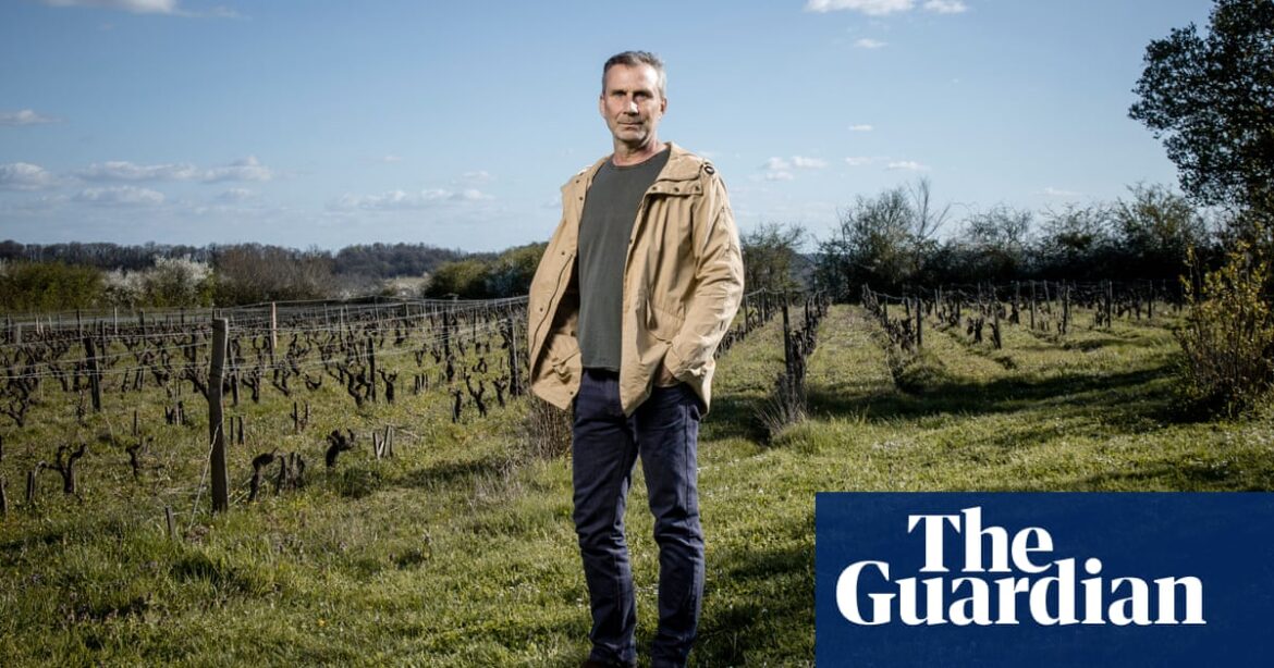 How an American businessman lost his job and found himself in an old French vineyard | Wine