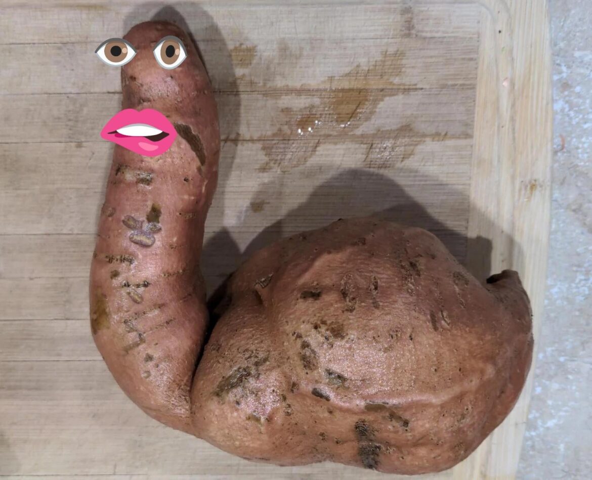 Just a happy snail, not a flaccid potato.