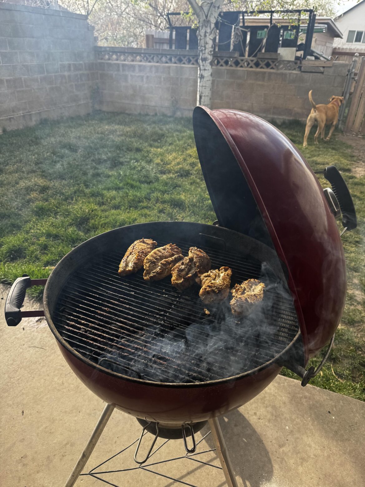 Old Rusty But Trusty