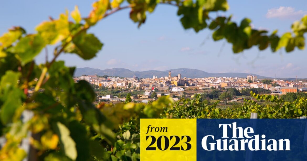 There’s a lot more to Spanish wine than cava and rioja | Wine