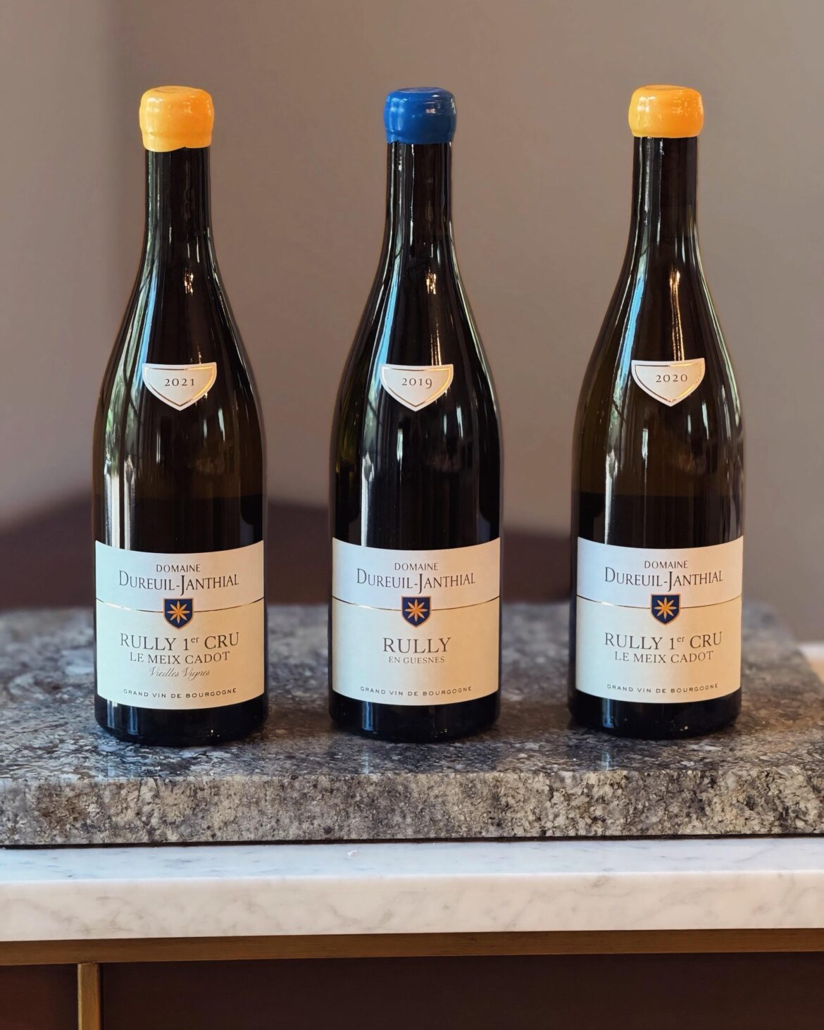 Dureuil-Janthial: A great producer offering immense value in Burgundy