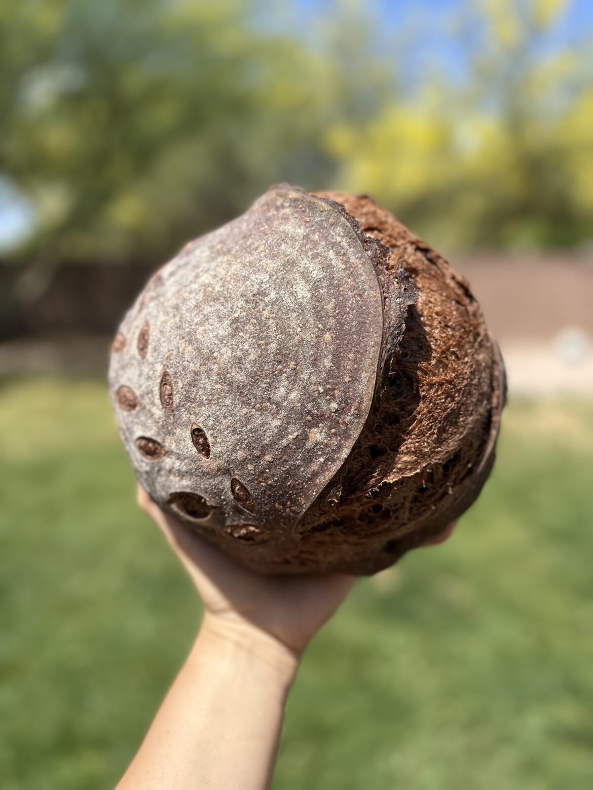 My first chocolate loaf