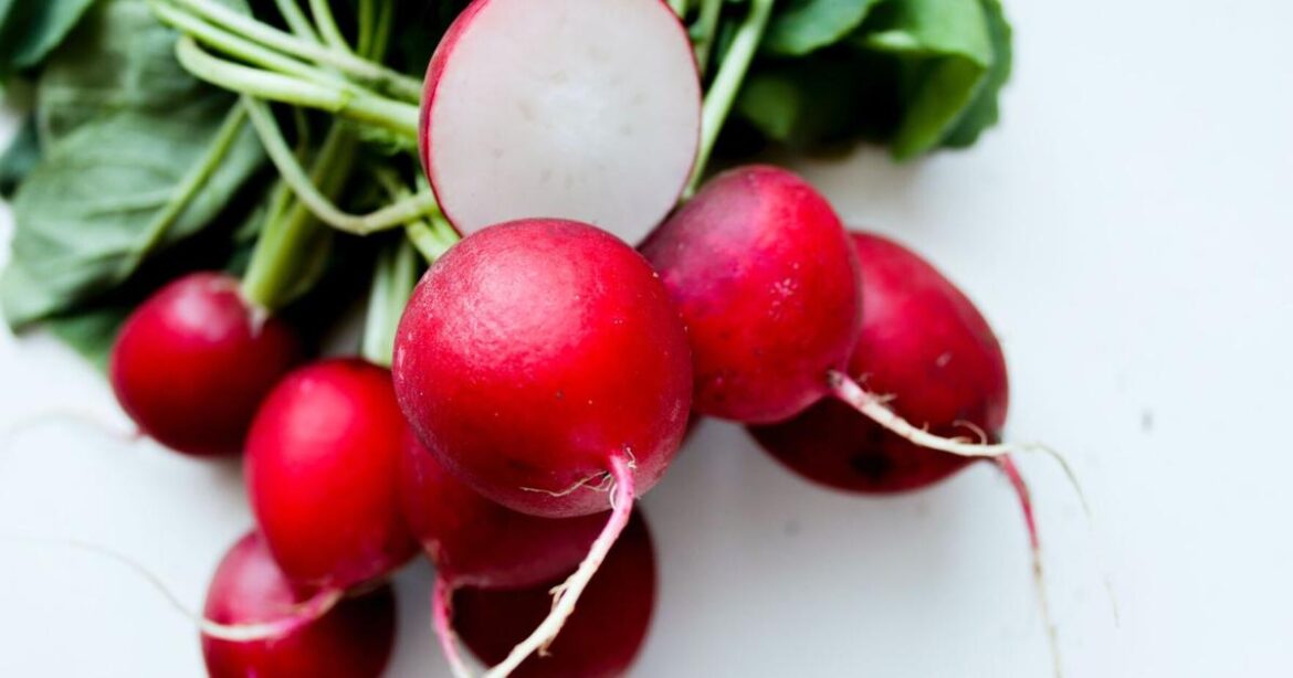 Take advice from the French when it comes to radishes: Slather on sardine butter and don’t waste anything | Arts and Culture Take advice from the French when it comes to radishes: Slather on sardine butter and don't waste anything | Arts and Culture