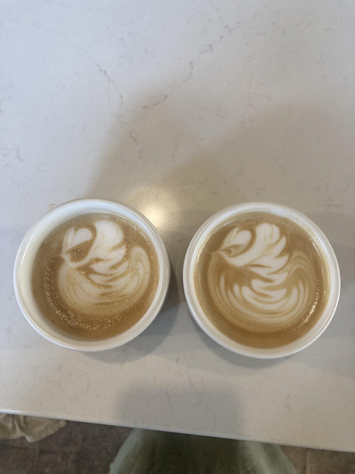 swans loading! swans loading!