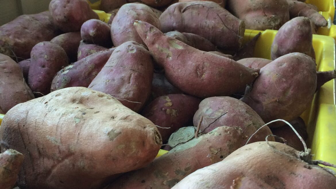 Reader hors d’oeuvres contest winners Reader hors d'oeuvres contest winners