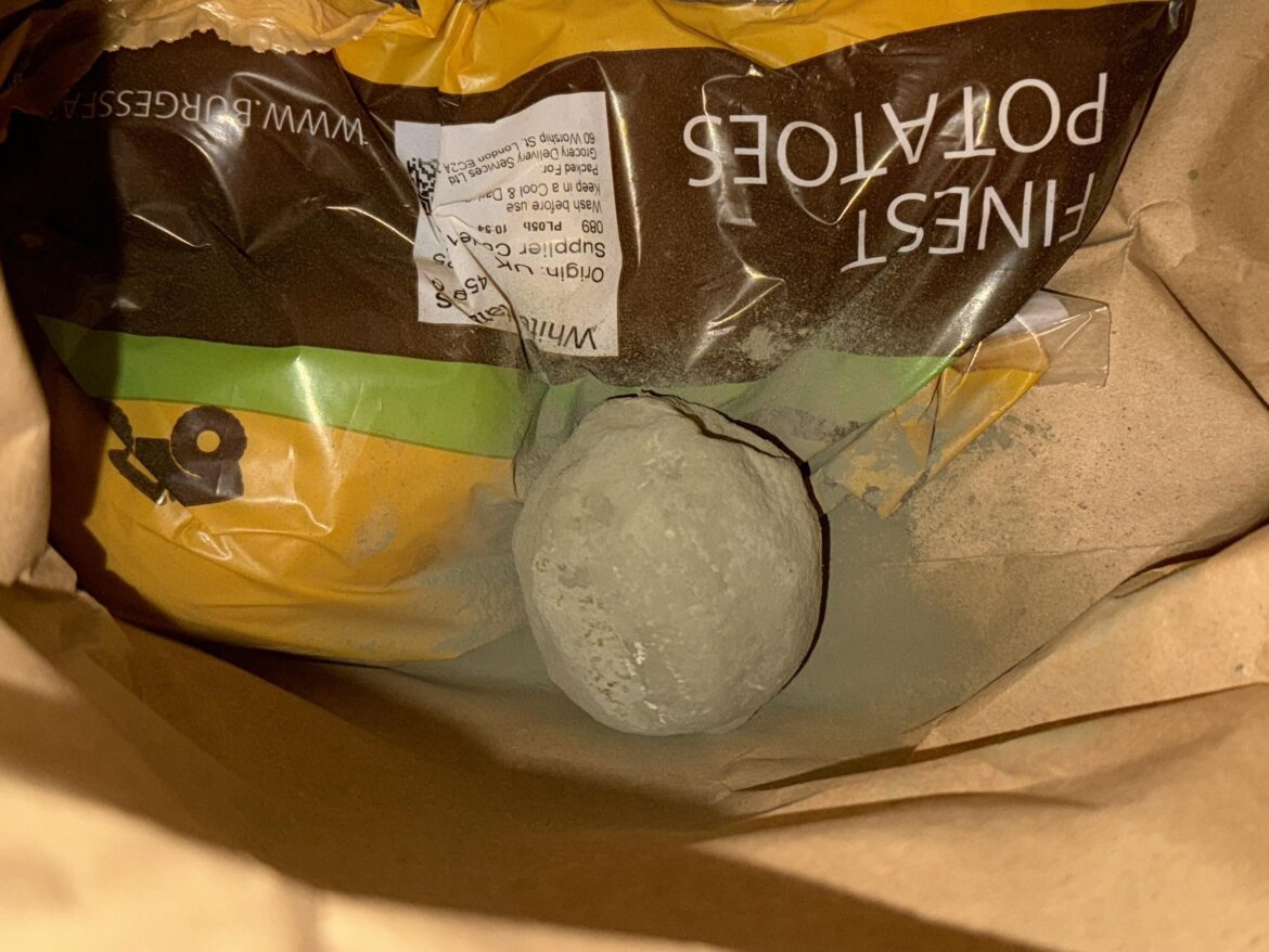 I thought it was a lime for a second 😭