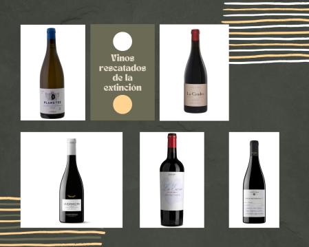 Cinco vinos de viñedos rescatados