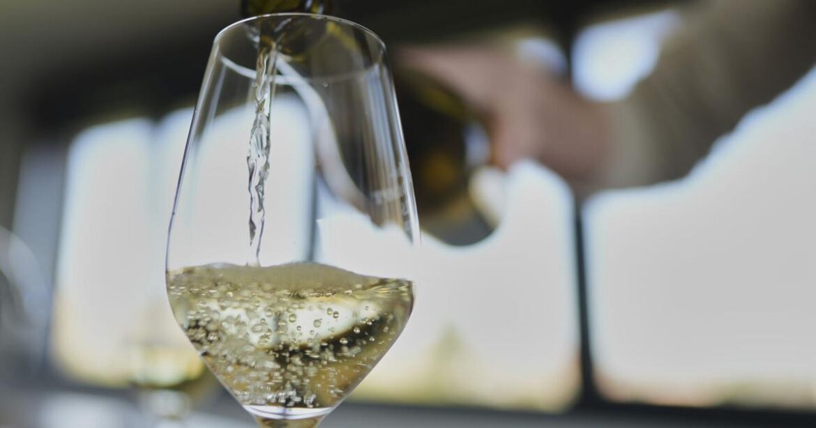 Faced with Trump's new tariff, French wine producers expect rough times ahead | National News