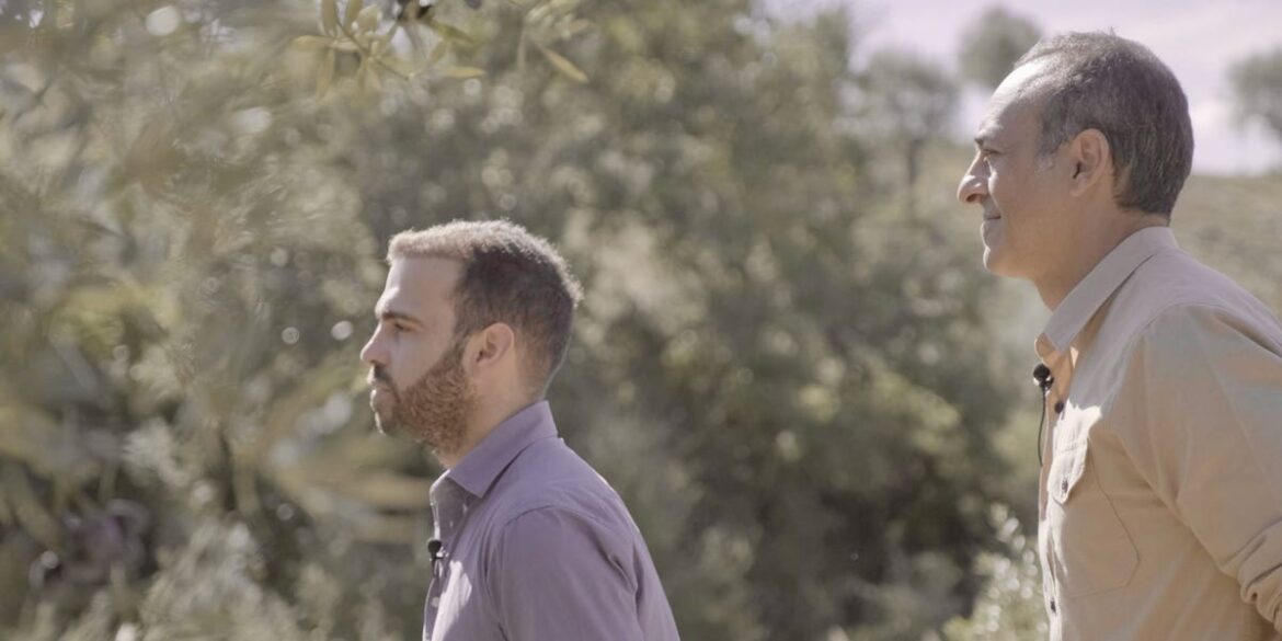 I Left the US for Portugal and Started an Olive Oil Business