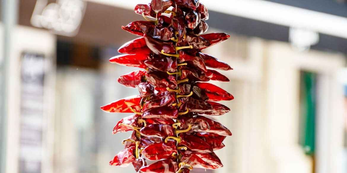 Discover Hot Salsa and More