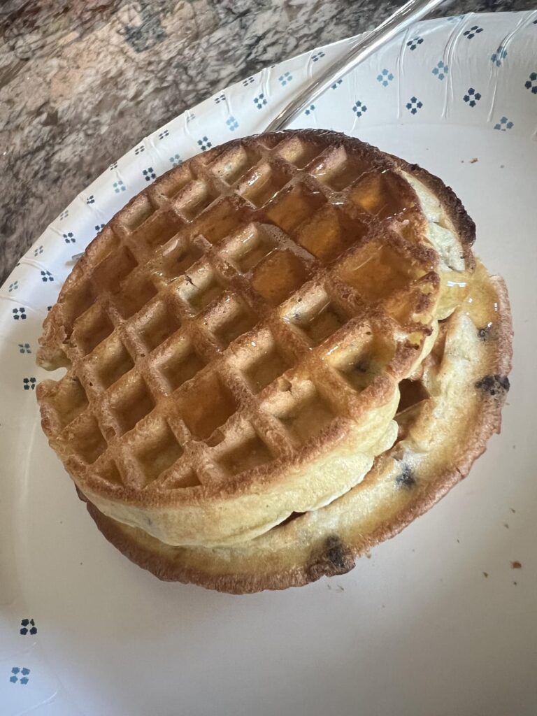 Full day of eating (my budget is 1310, this is 1294)