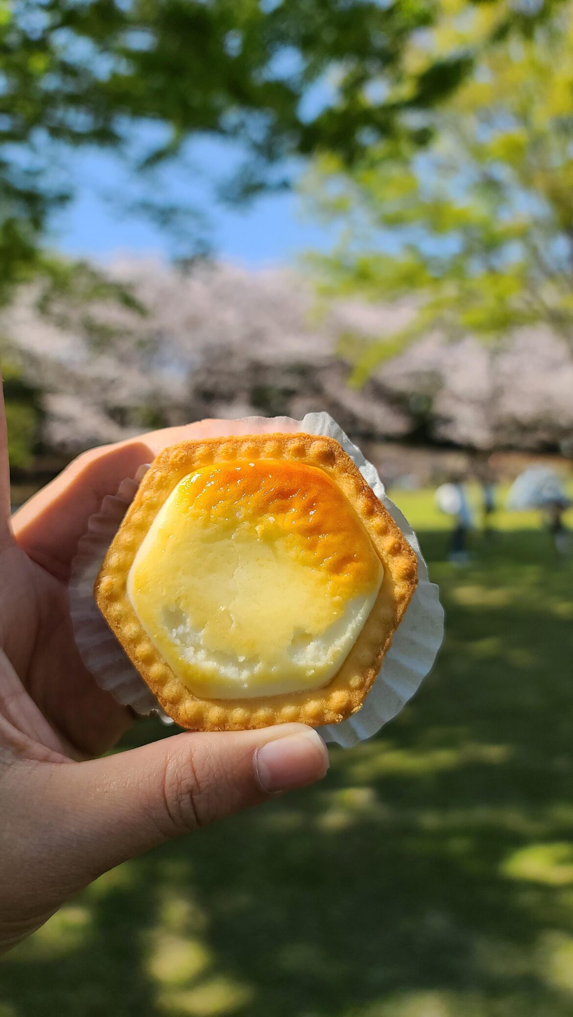 Hakone Cheese Tartles, one of the best desserts I tried on my trip