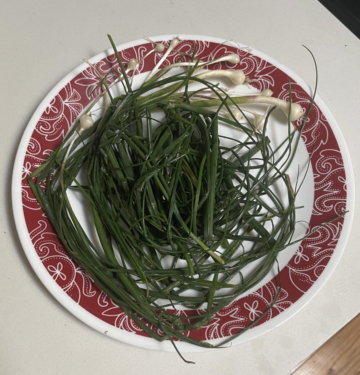 Spring onions foraged from Brooklyn sidewalks :)