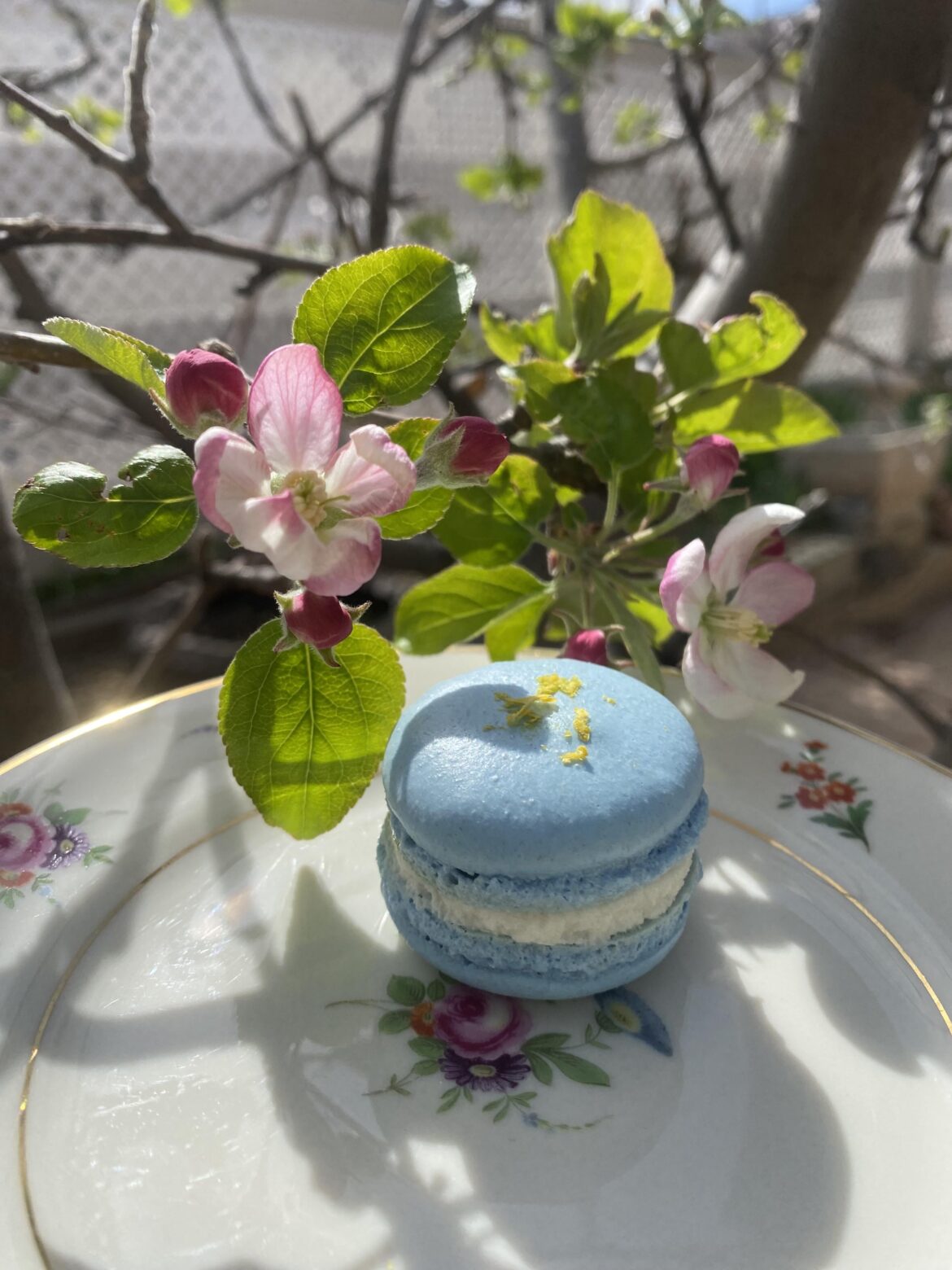 Coconut macarons with mango filling🥥🥭