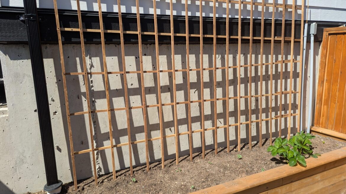 How many pole beans would you plant around each post? How many pole beans would you plant around each post?