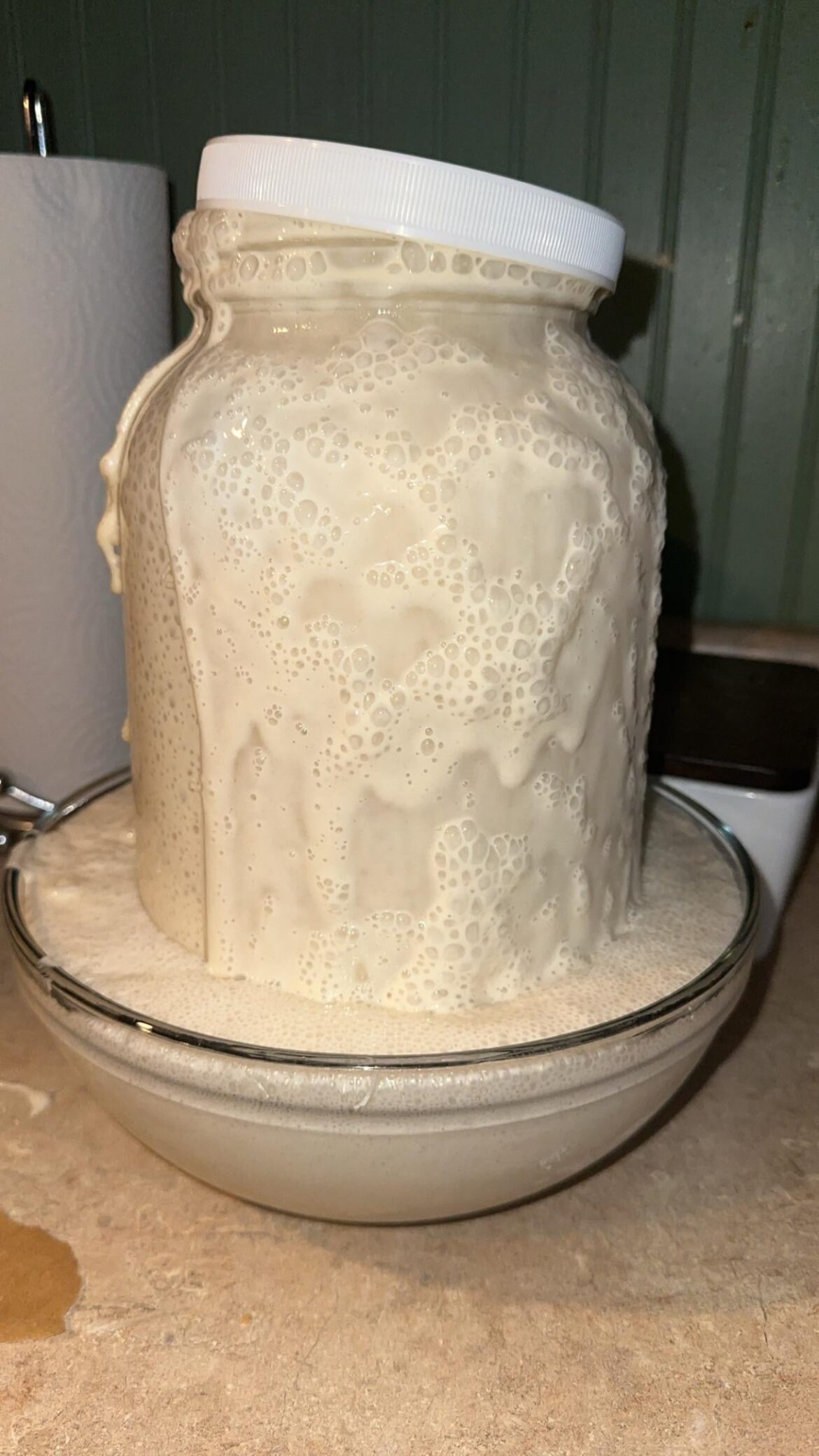 I was worried that my discard that sat in the fridge for a month and a half wasn’t going to come back in time… so I added about a tsp of raw honey with my feed and she sat out on the counter last night. Now I’m going to make 1,000,000 cinnamon rolls thank god I put the bowl under her lmao.