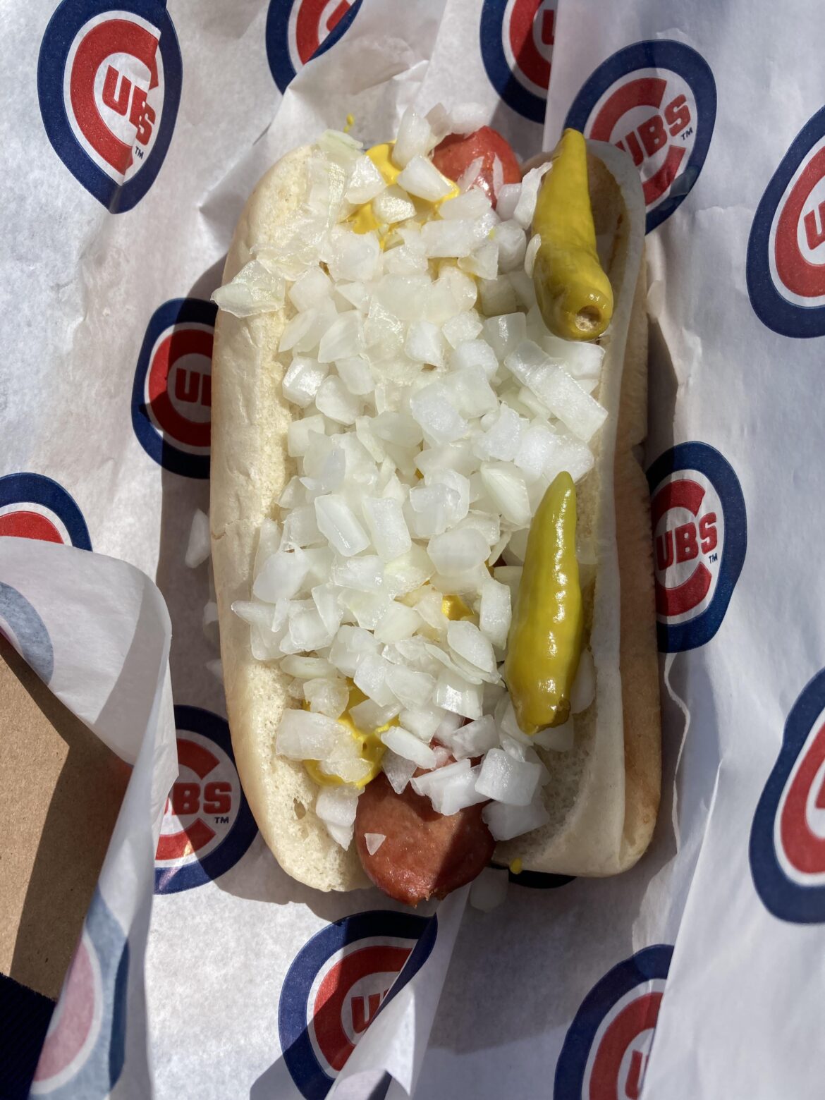 When they let you put your own onions on at the ballgame…