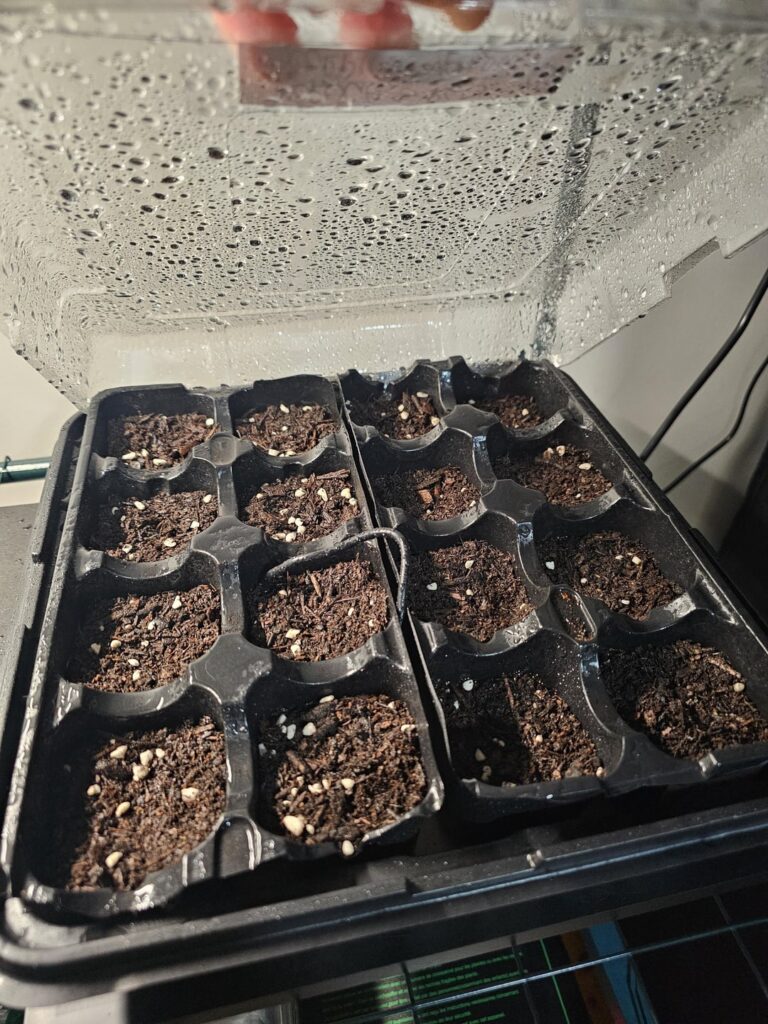 What's your longest germination time? 🌱