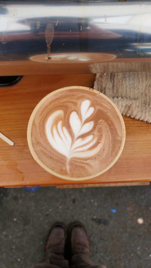 My tulip proggression for abt a yr!