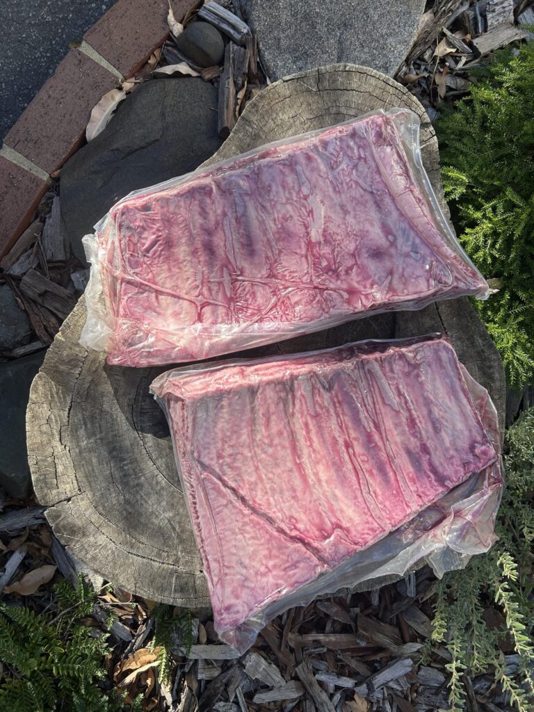 The journey has begun…