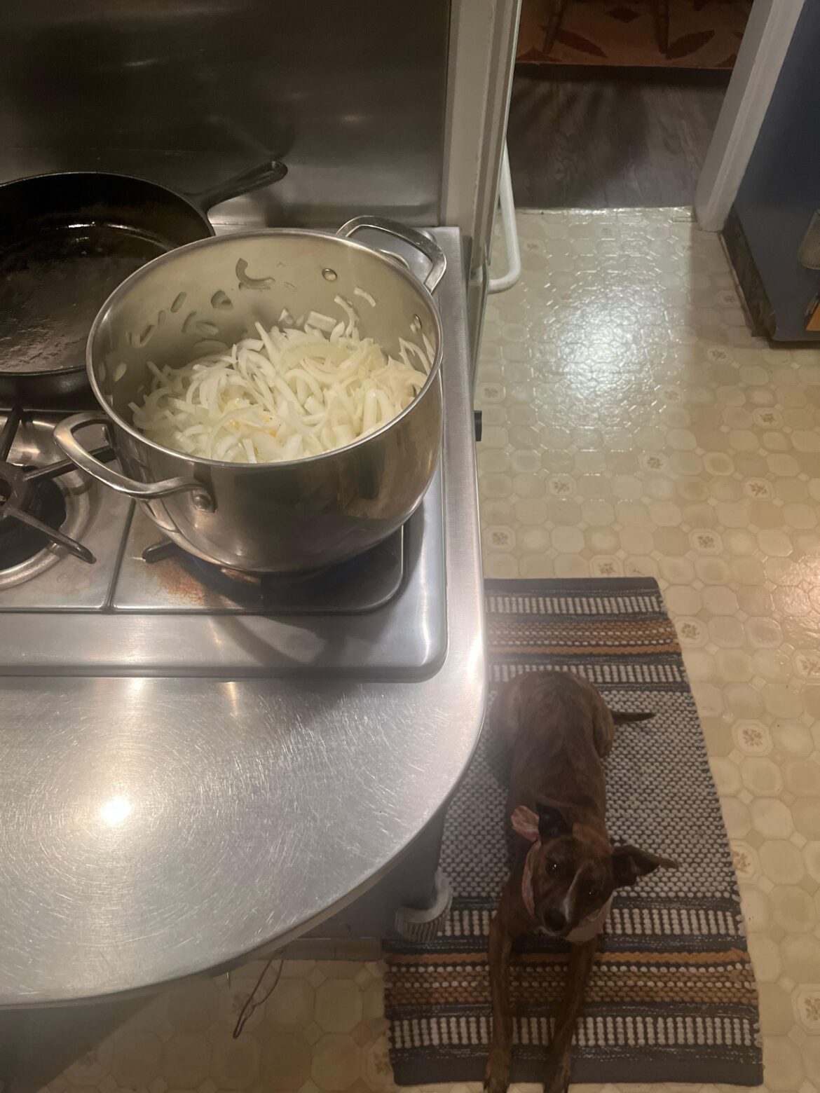 We are making French onion deviled eggs at midnight