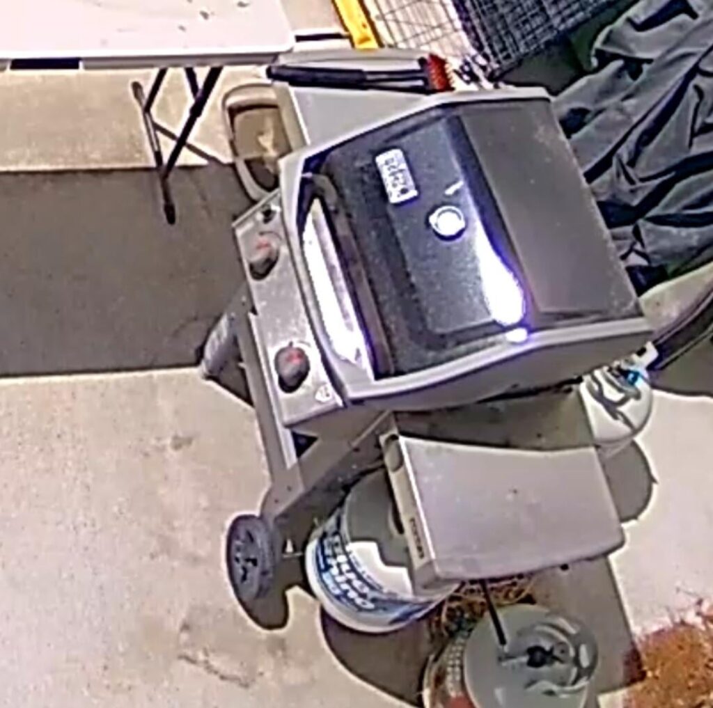 Using the back yard camera to make sure I remembered to turn off the burners.