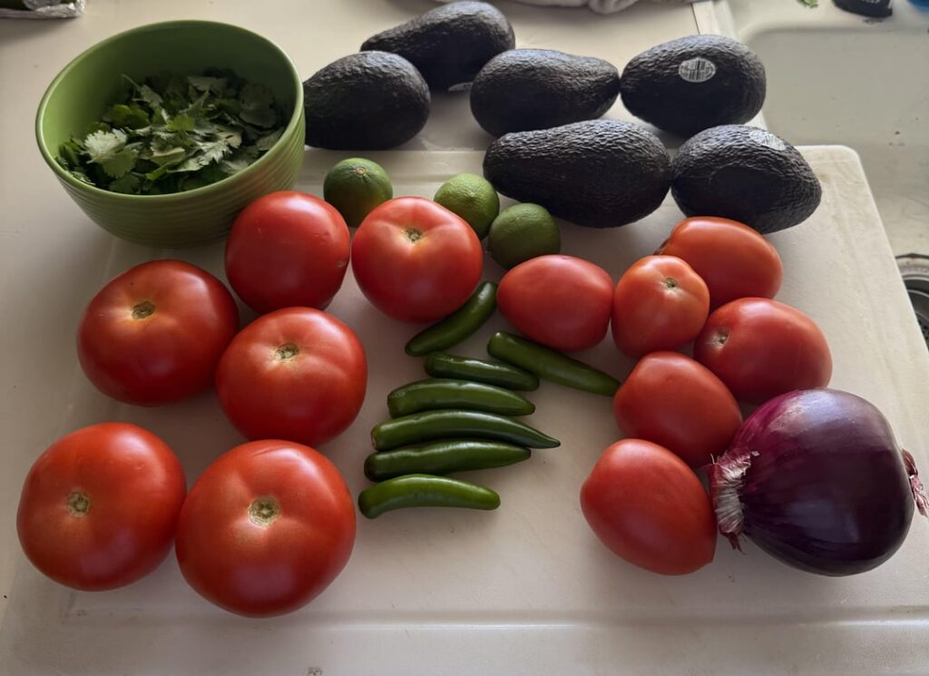 My version of pico and guac