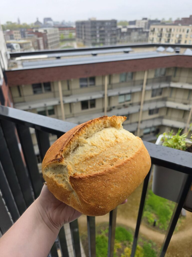 Made my best loaf so far!