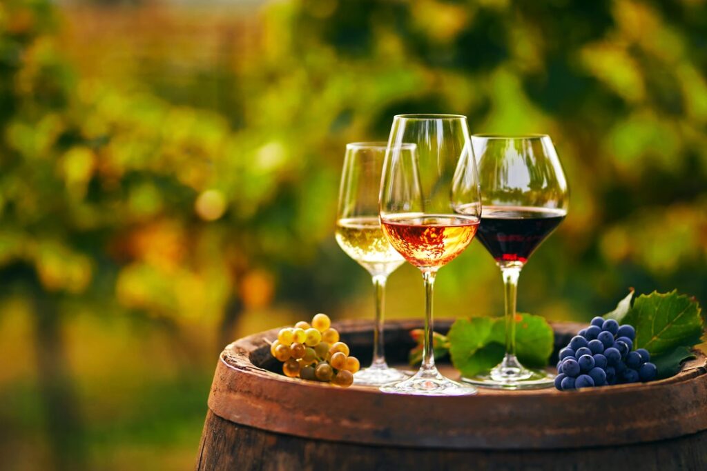 Italy first in wine production, second for export Italy first in wine production, second for export