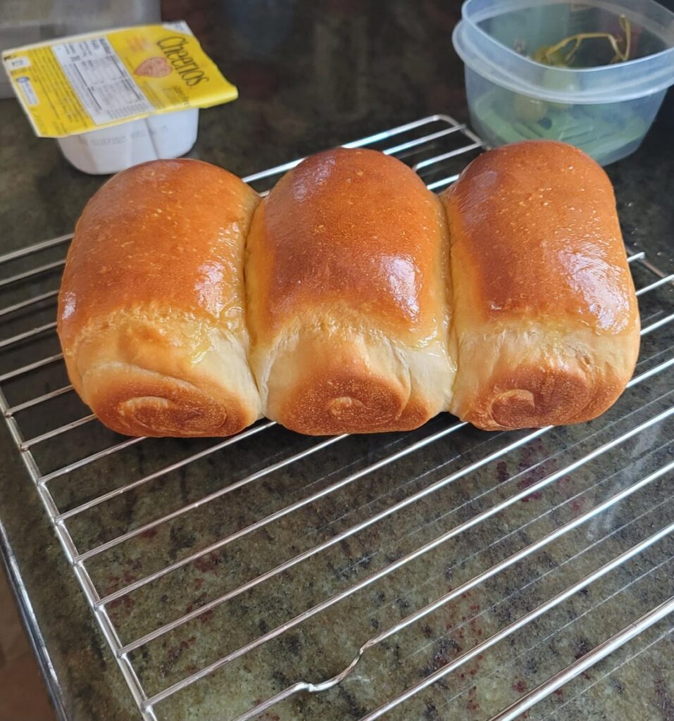 First try at milk bread