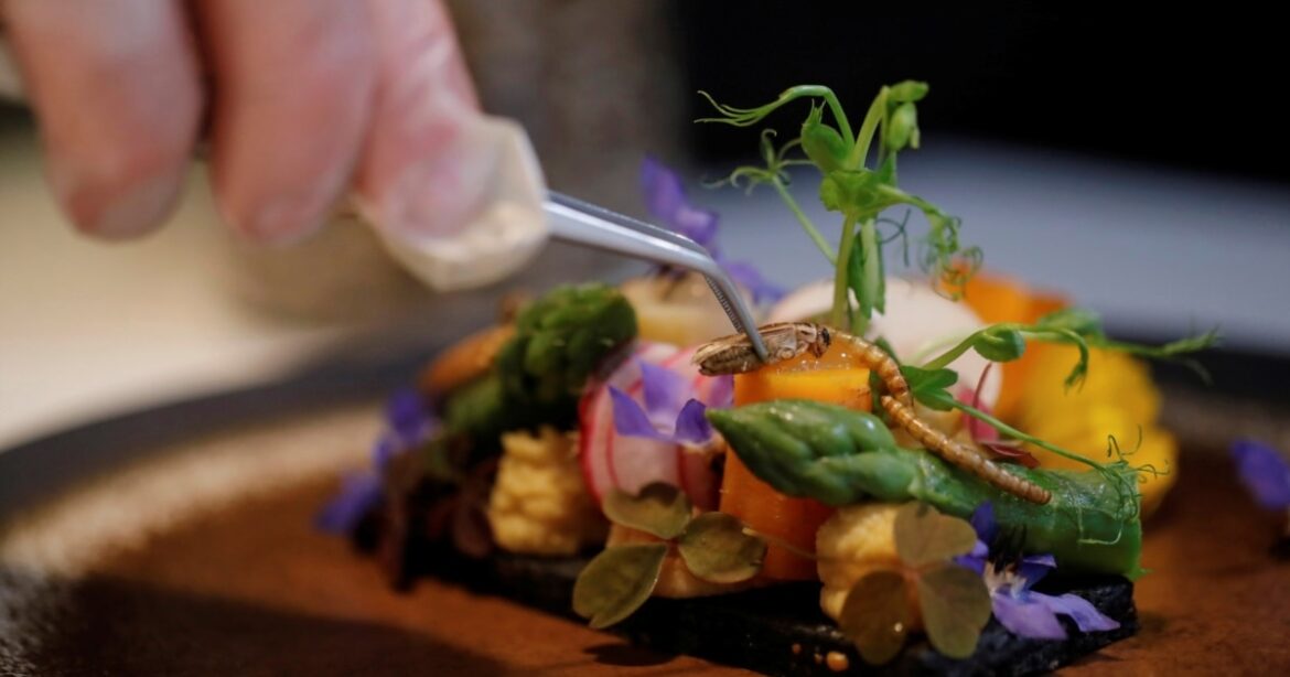 French Restaurant Serves Up Food of the Future: Insects