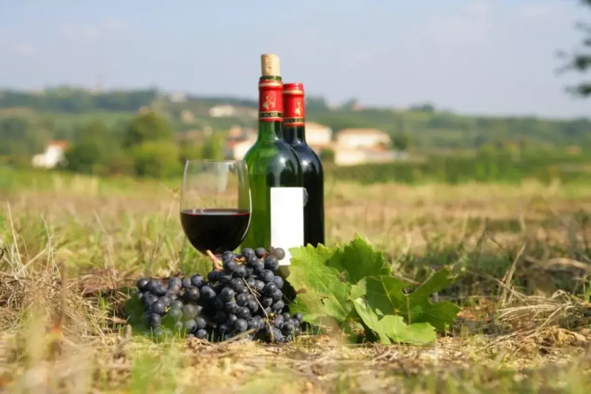 French wine and spirits exports face devastating losses due to new US tariffs
