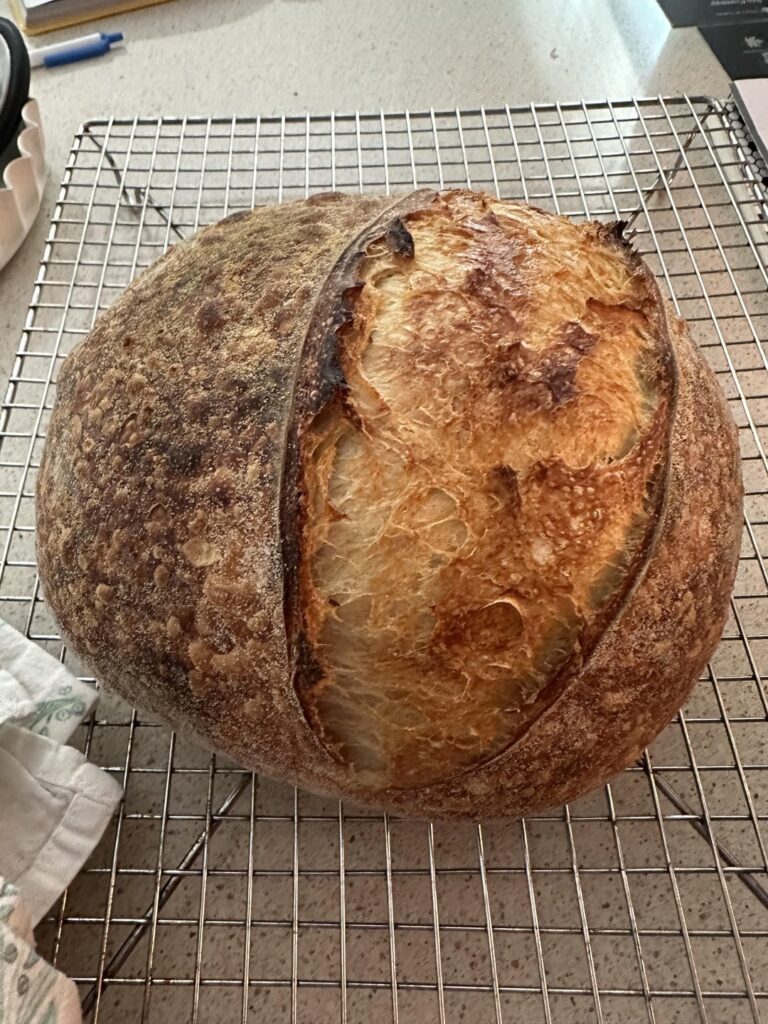 My first loaf! Do you think this might have been bulk fermented a little long? My first loaf! Do you think this might have been bulk fermented a little long?