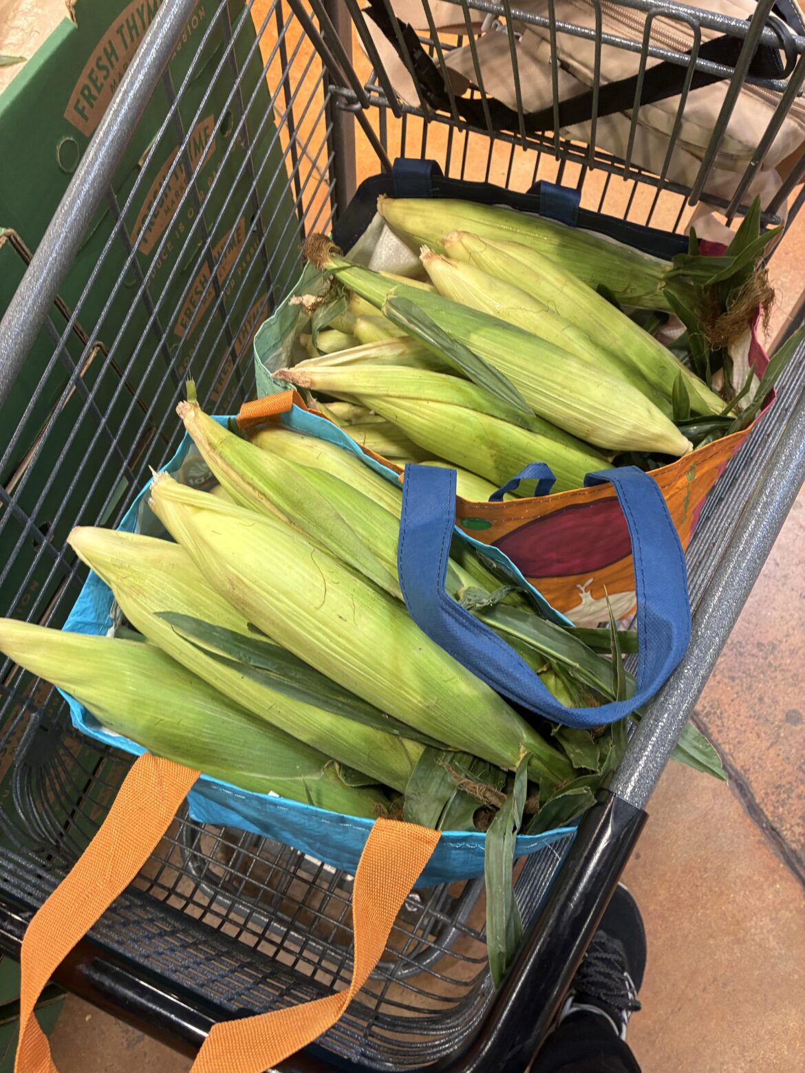 It is I, the person who bought 6 turkeys last December, back again with 55 ears of corn