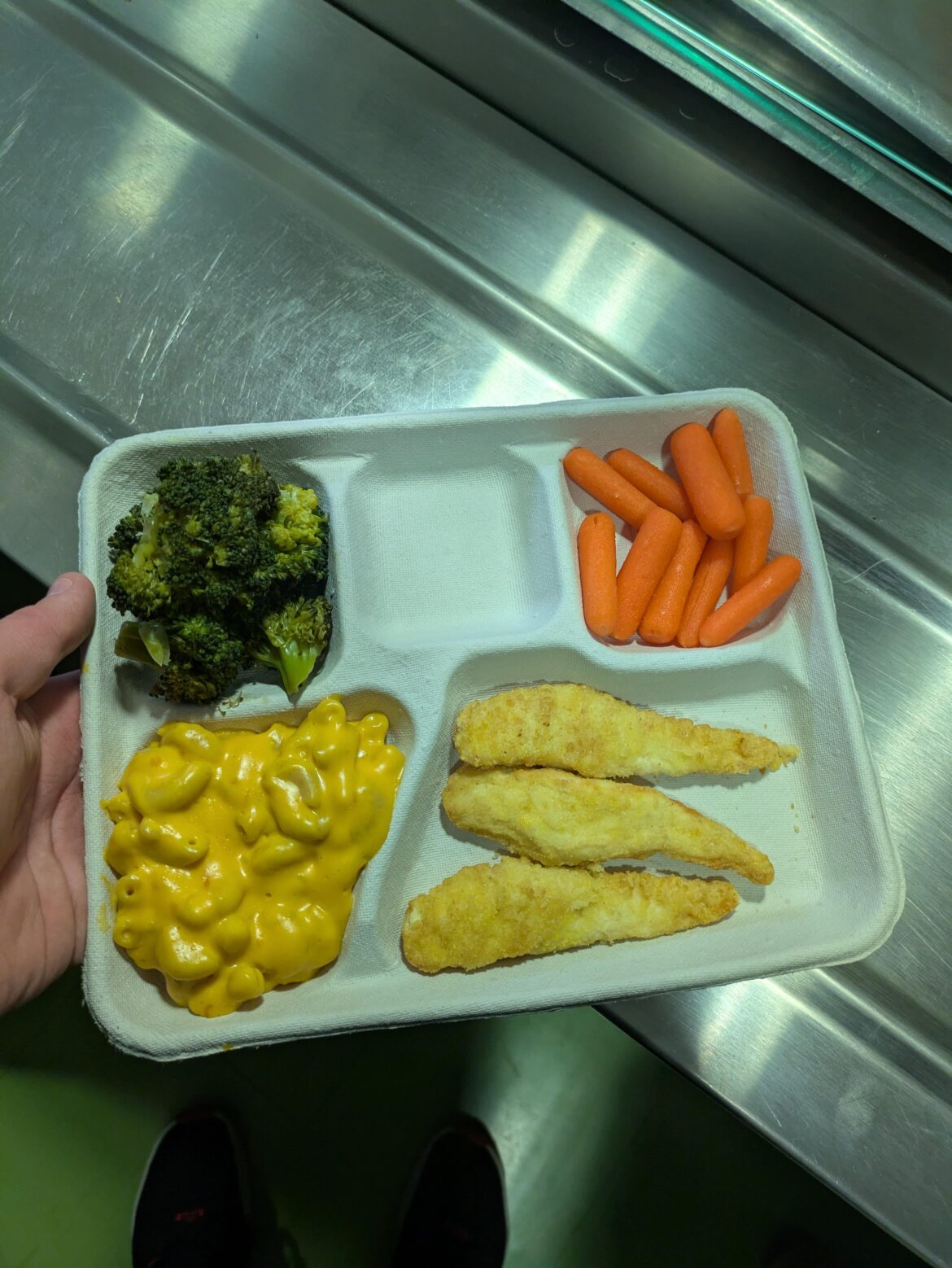 My school lunch. It somehow tasted worse than it looks