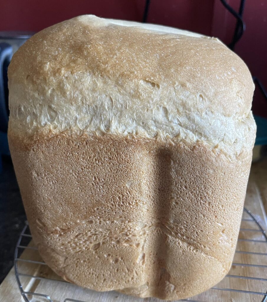 Panasonic Bread maker Panasonic Bread maker