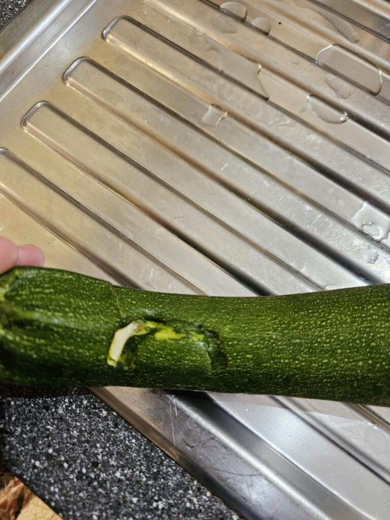 Bite marks in ingredients