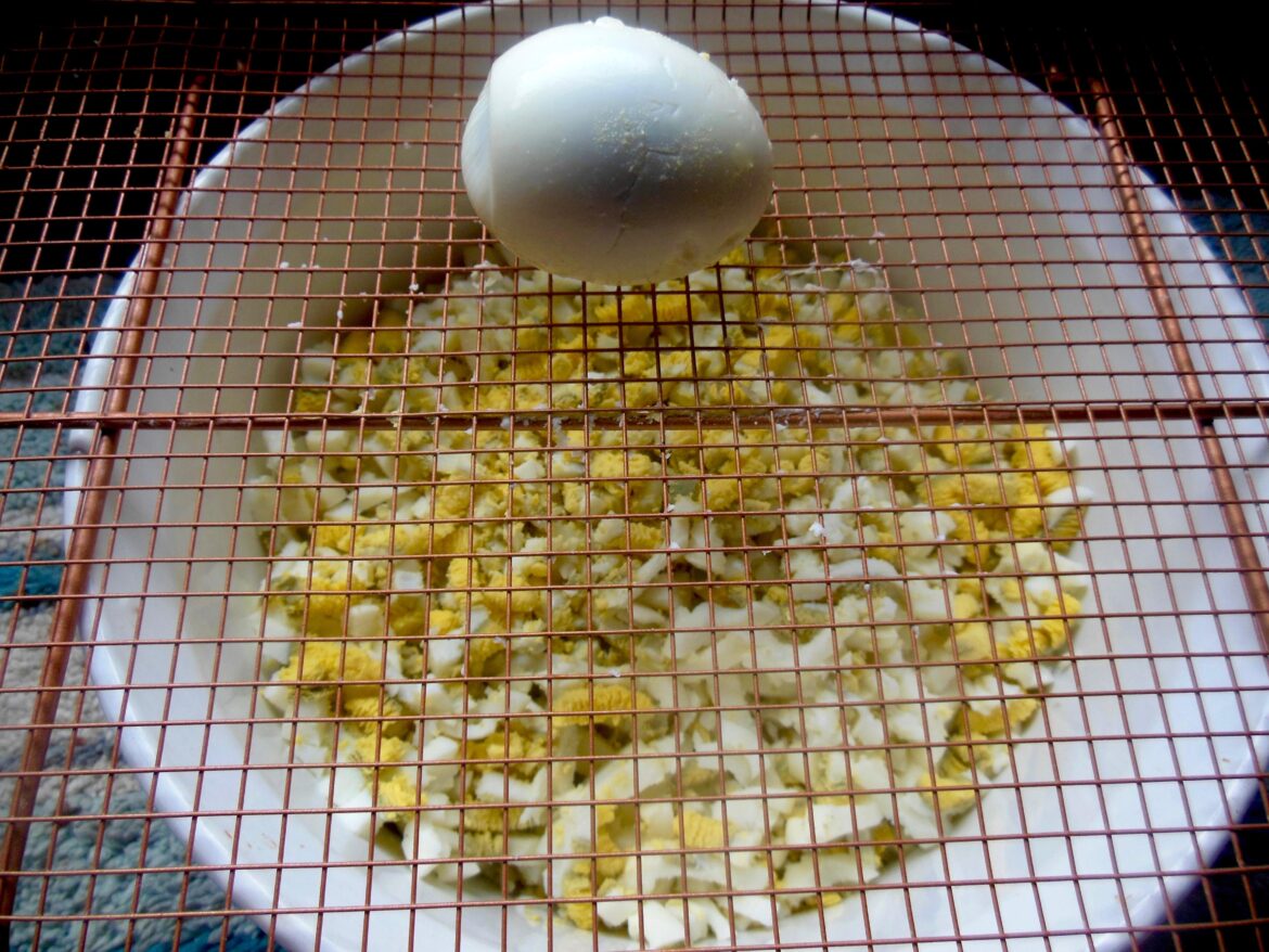 pushing eggs through a medium-sized mesh to make egg salad is fast and E-Z  :)