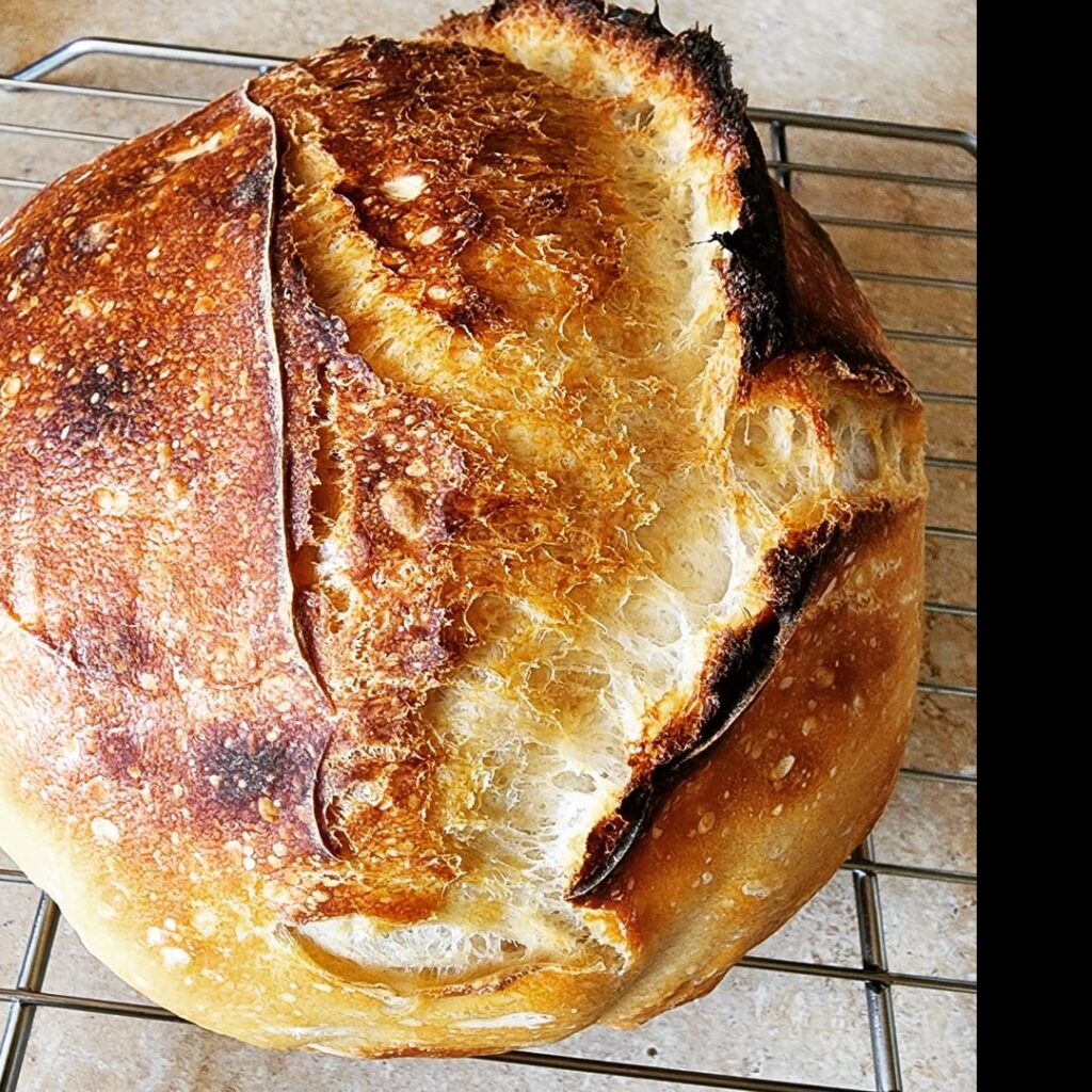 Fist time making sourdough i think it came out pretty good!