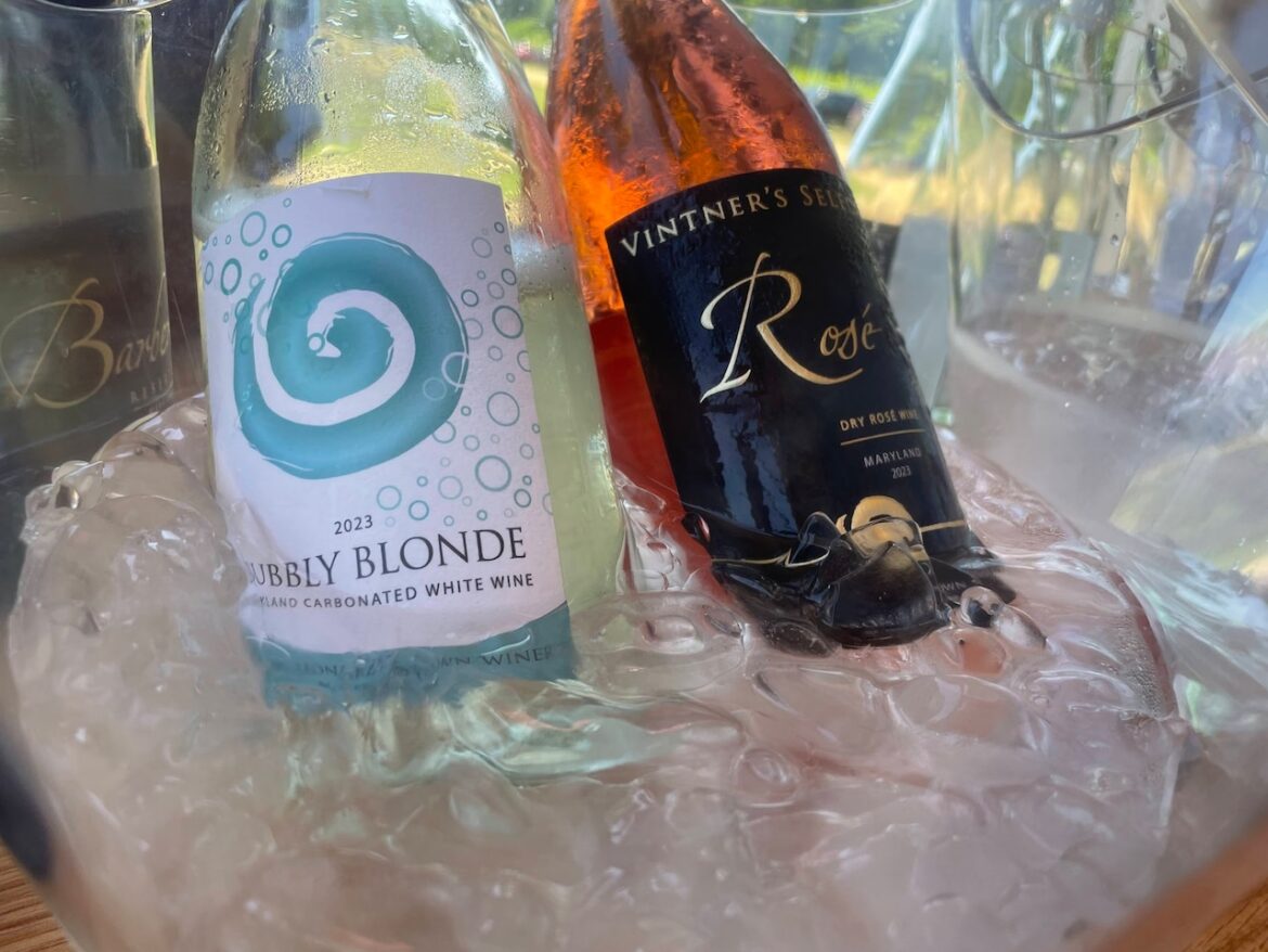 Maryland producer set to introduce Winearita, a wine-based margarita in a can Maryland producer set to introduce Winearita, a wine-based margarita in a can