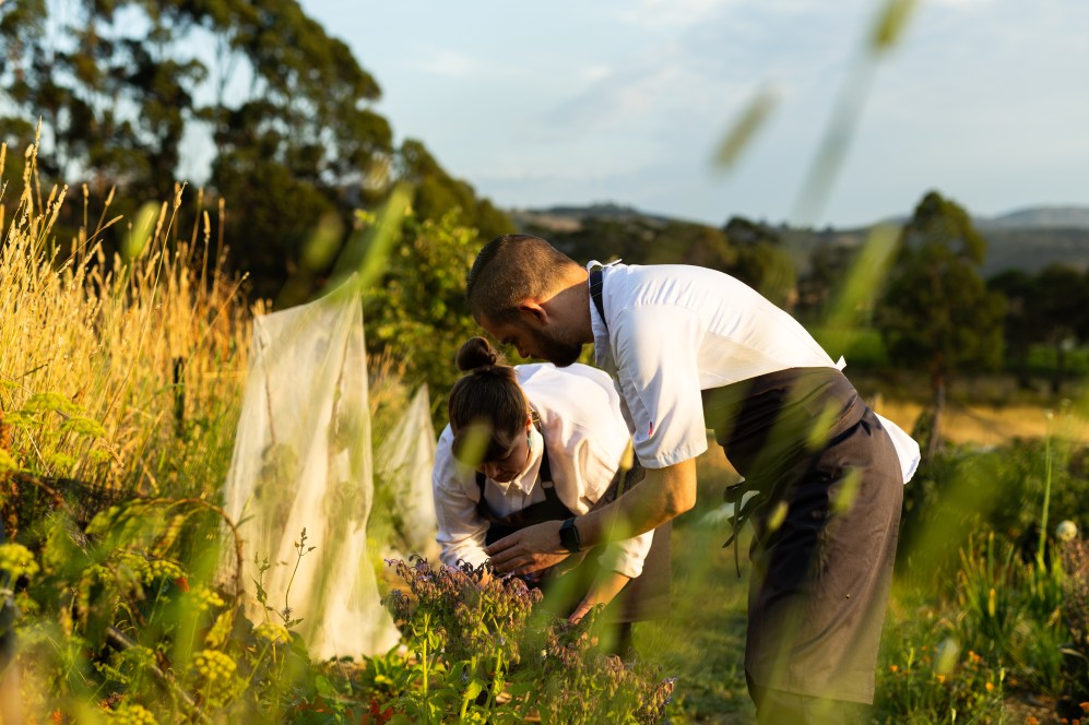 Behind the scenes at Scottish-French fine diner Oirthir – hospitality Behind the scenes at Scottish-French fine diner Oirthir - hospitality