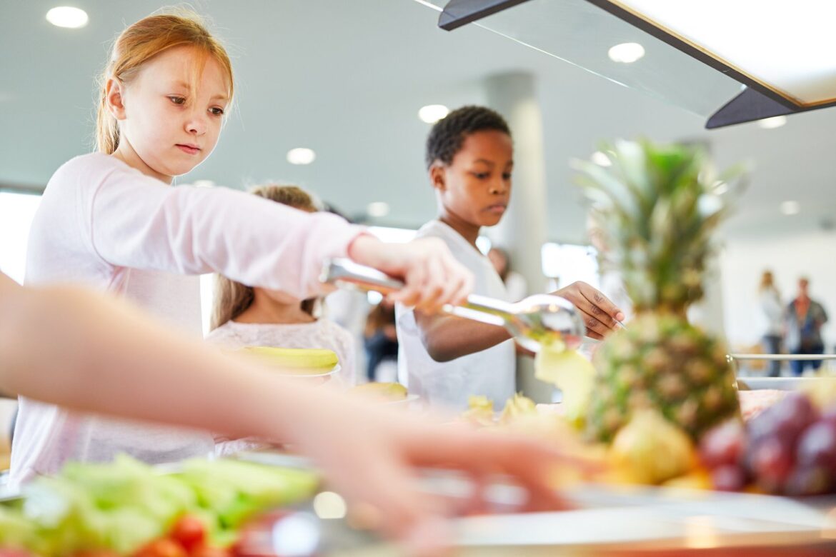 The French meatless school menu row is more important than you think — Surge The French meatless school menu row is more important than you think — Surge