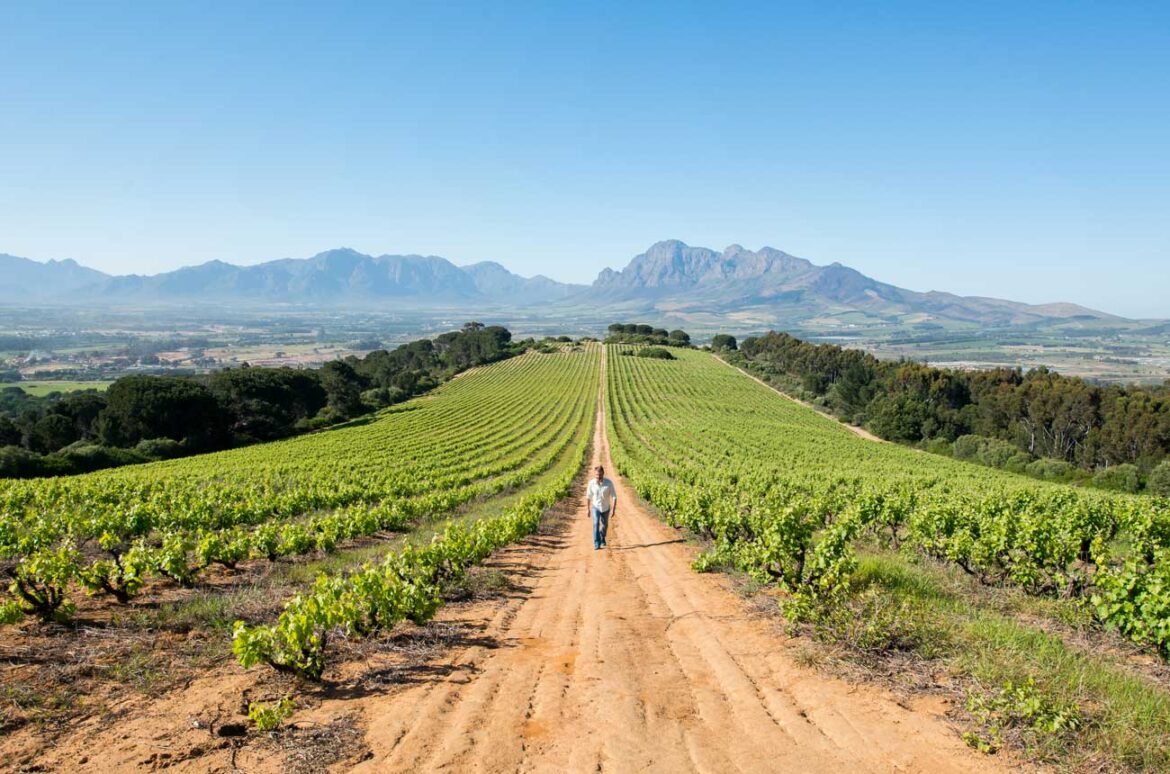 South Africa gets serious about great Grenache