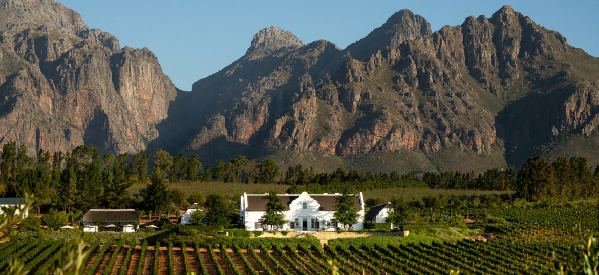 Brookdale Estate: A world-class wine estate in South Africa’s Western Cape