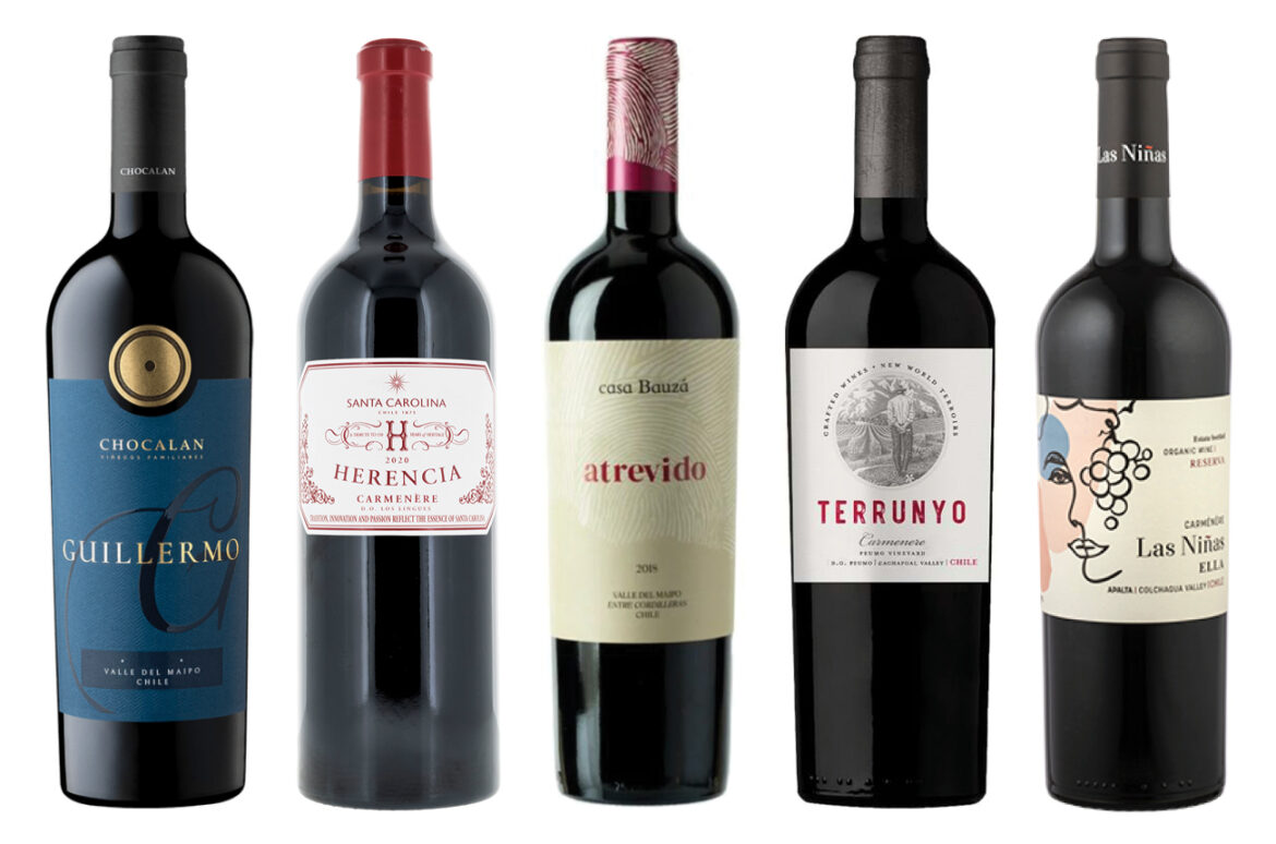 International Carmenère Day: 15 award-winning wines to discover
